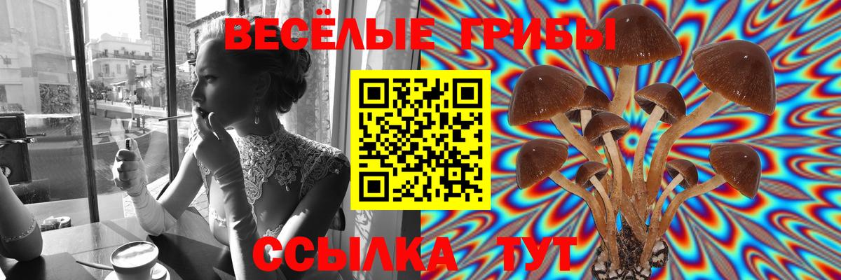 Псилоцибиновые грибы Psilocybine cubensis Сердобск
